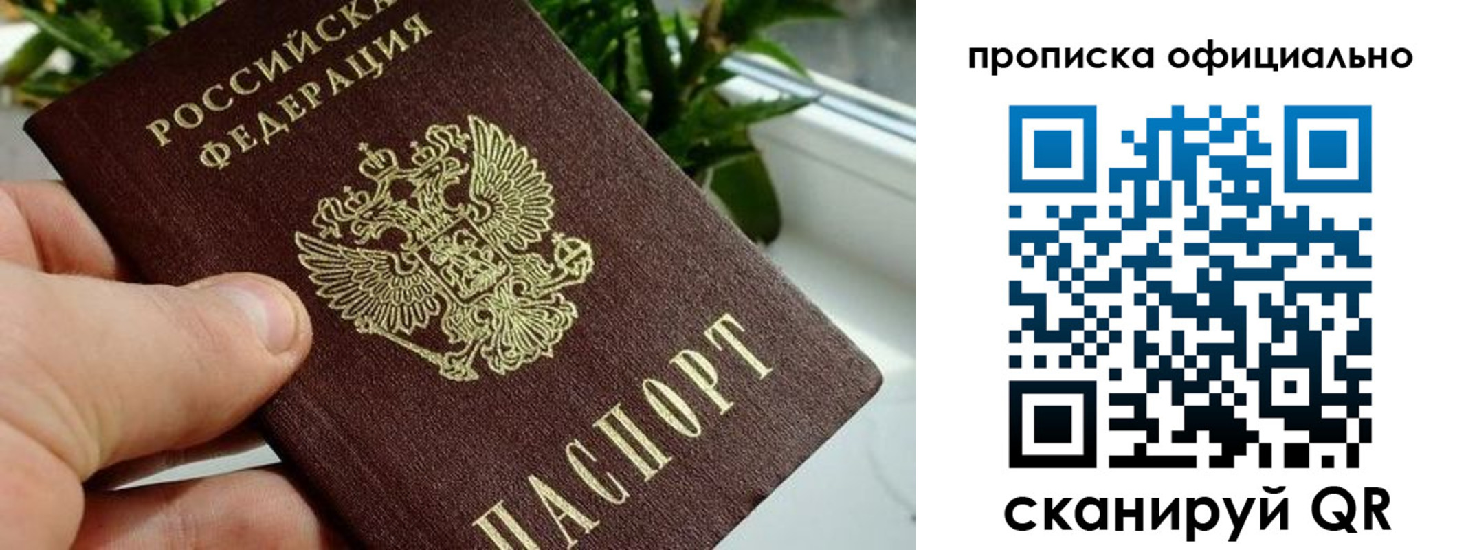 прописка поиск в Сатке